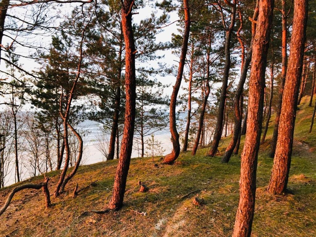 Domki Skowronki Конты Рыбацке Экстерьер фото
